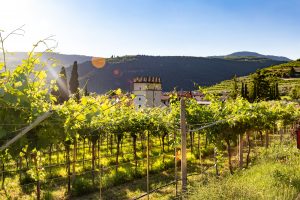 Wijngebieden in Noord-Italië